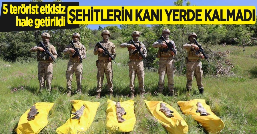 Şırnak’ta Geniş Kapsamlı Askerî Operasyon: 5 Terörist Etkisiz Hâle Getirildi